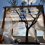Rooftop * טרוגיר
